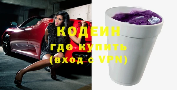 хмурый Алексин