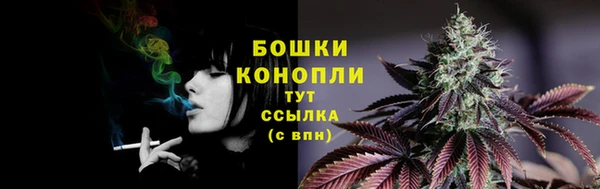 a pvp Аркадак