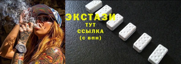 хмурый Алексин